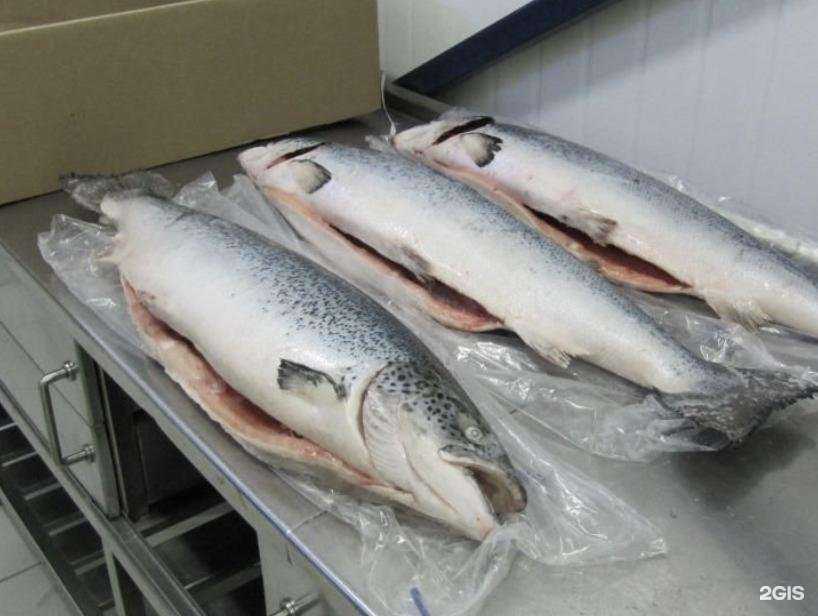 Отзывы на компанию Альянс в Волгограде c фото