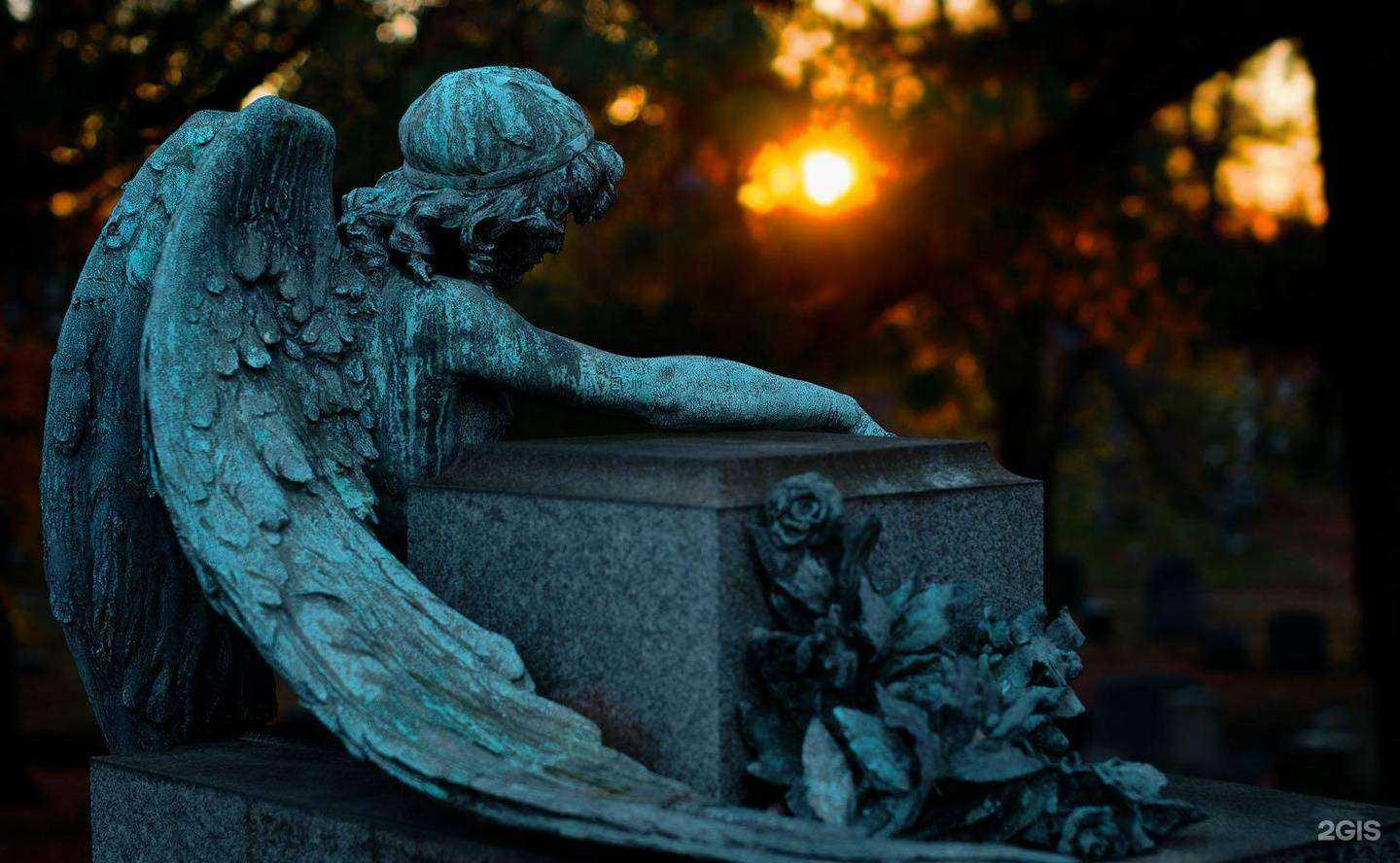 Отзывы на компанию Ангел в Десногорске c фото