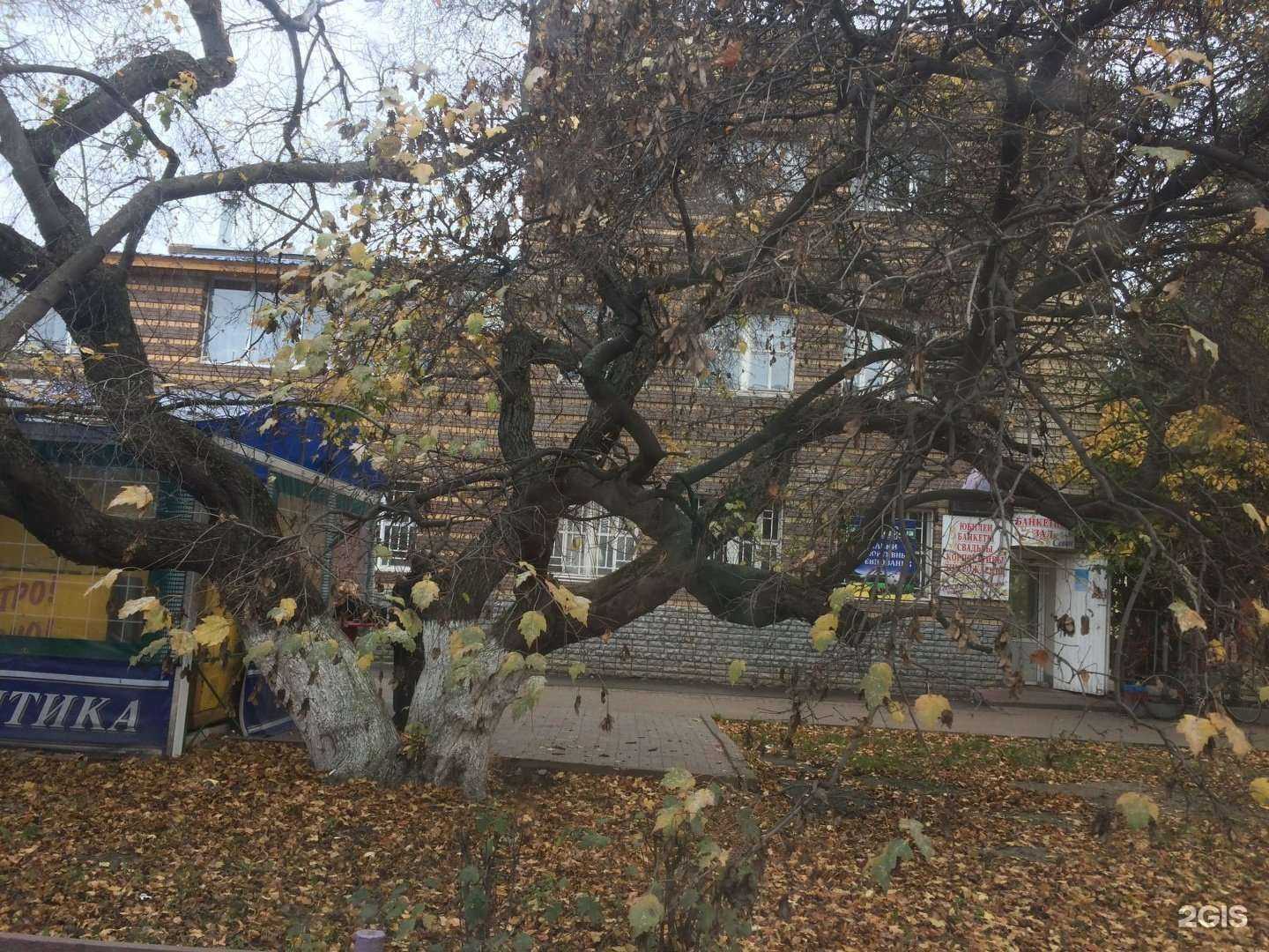 Отзывы на компанию У Гарика в Нижнем Новгороде c фото - фотография 2 из 2