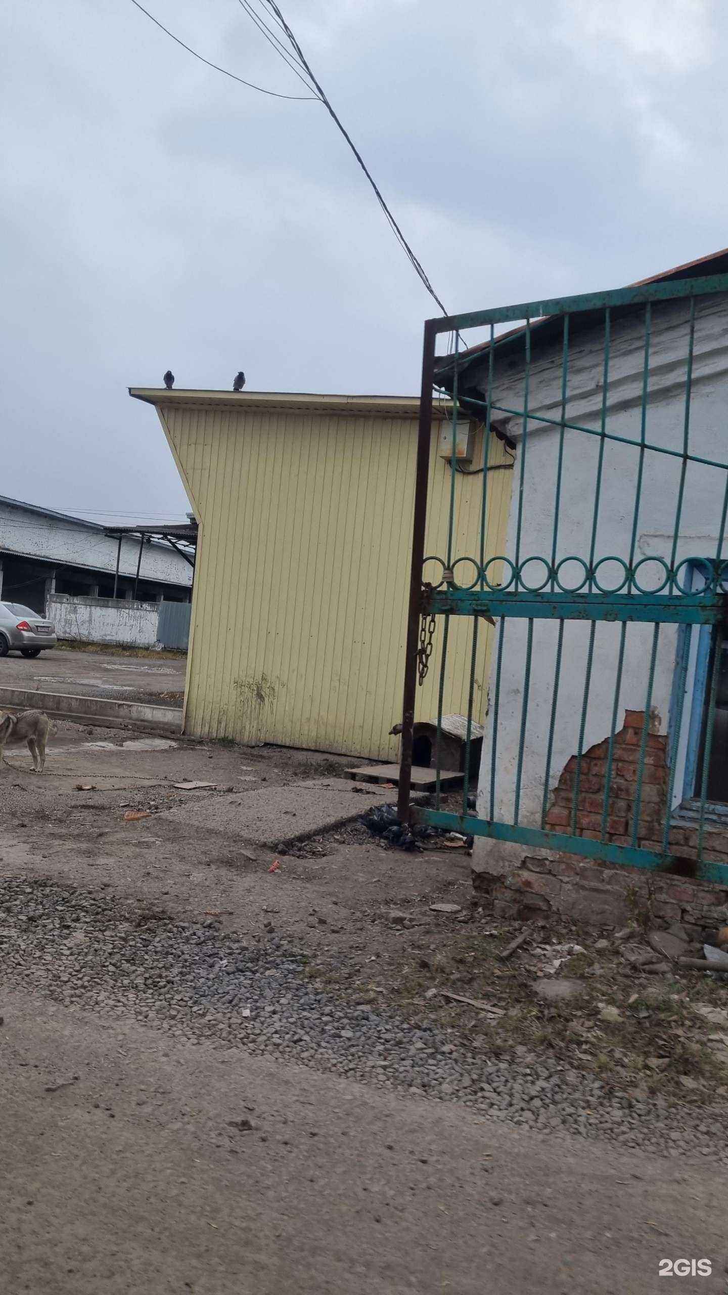 Отзывы на компанию Новокузнецк Логистик Трейд в Новокузнецке c фото