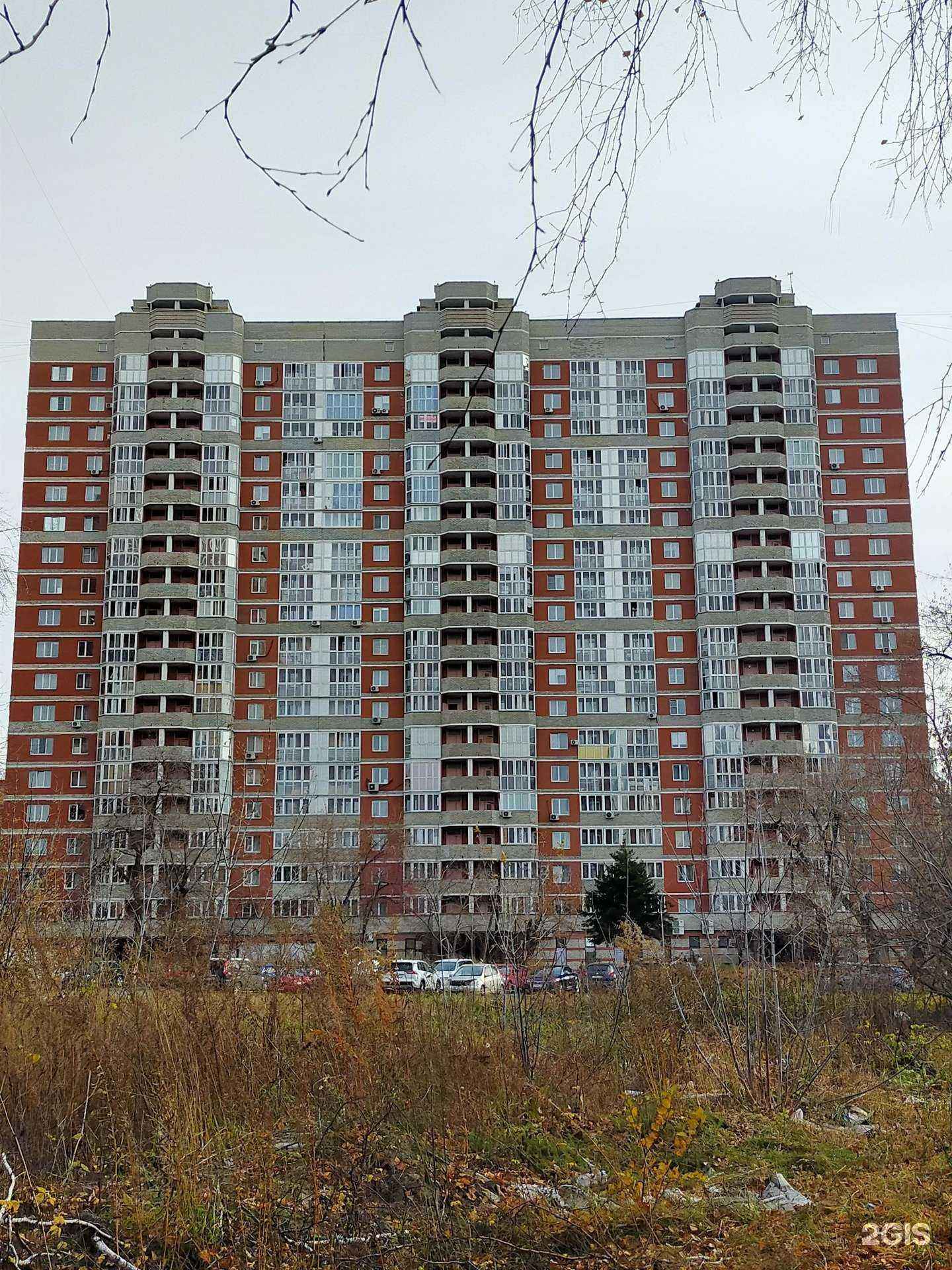 Отзывы на компанию Pro kids в Новосибирске c фото - фотография 2 из 2