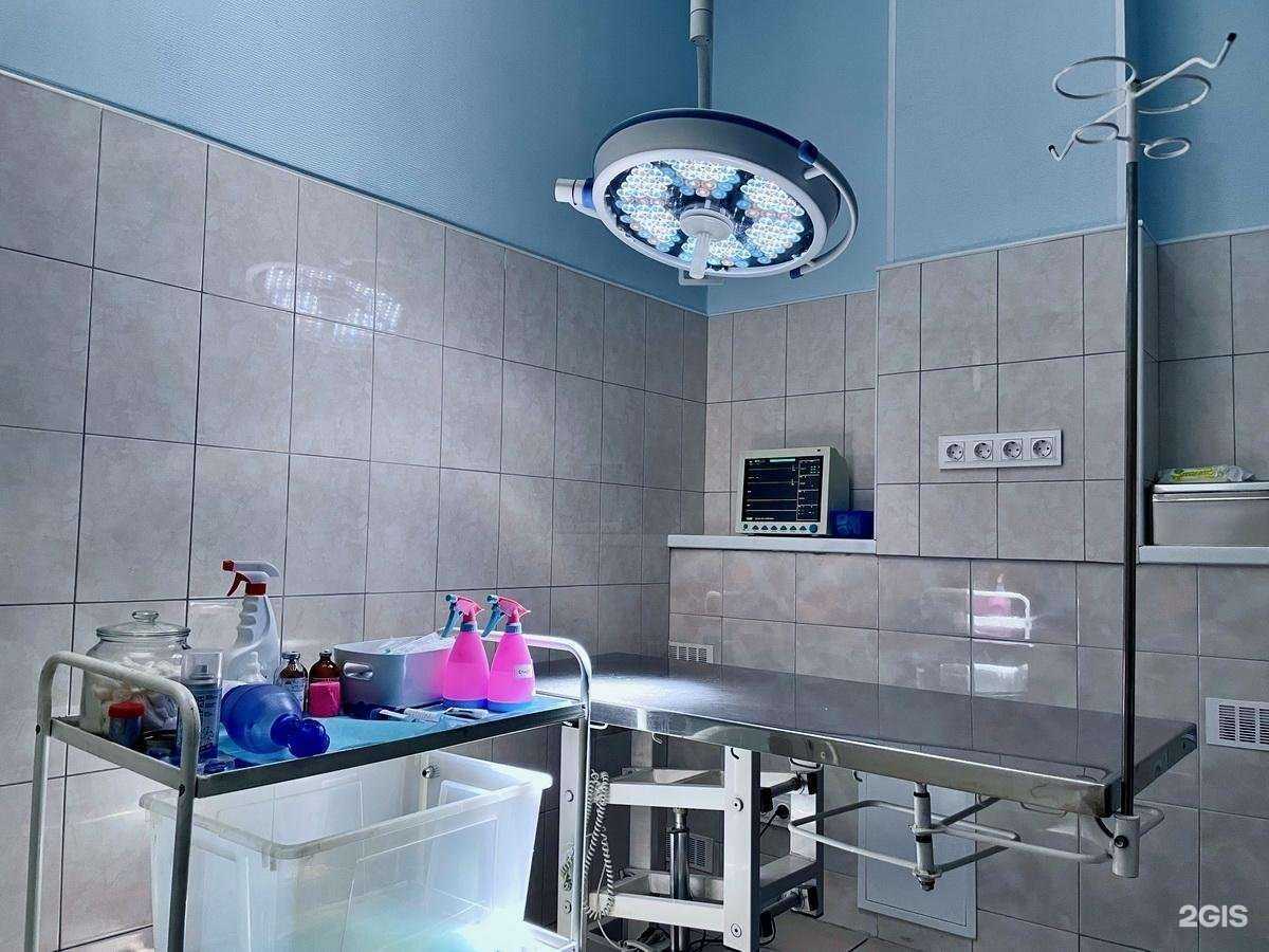 Отзывы на компанию Zоодоктор в г. Отрадное c фото