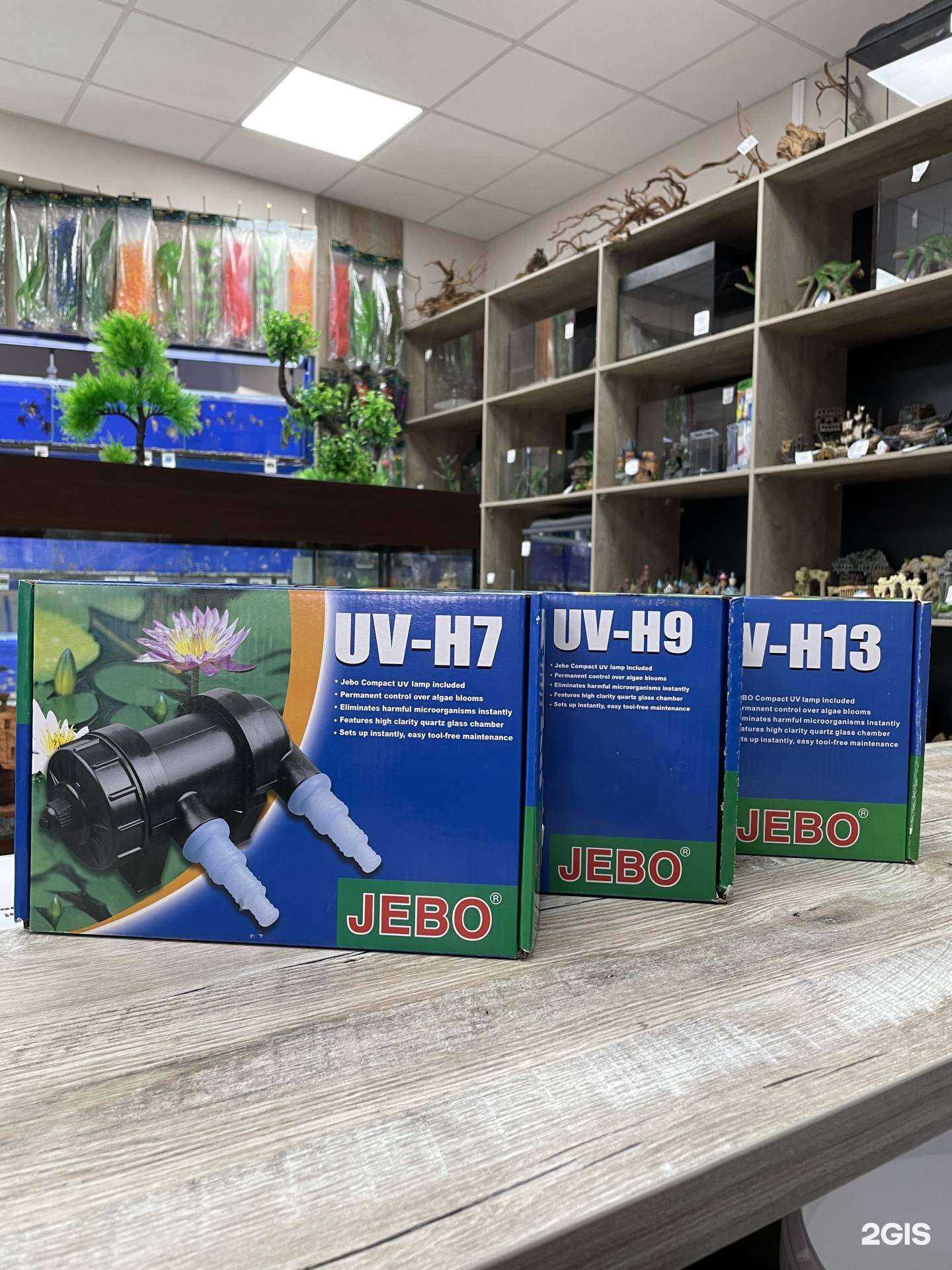 Отзывы на компанию Аквариум Хобби в Анапе c фото