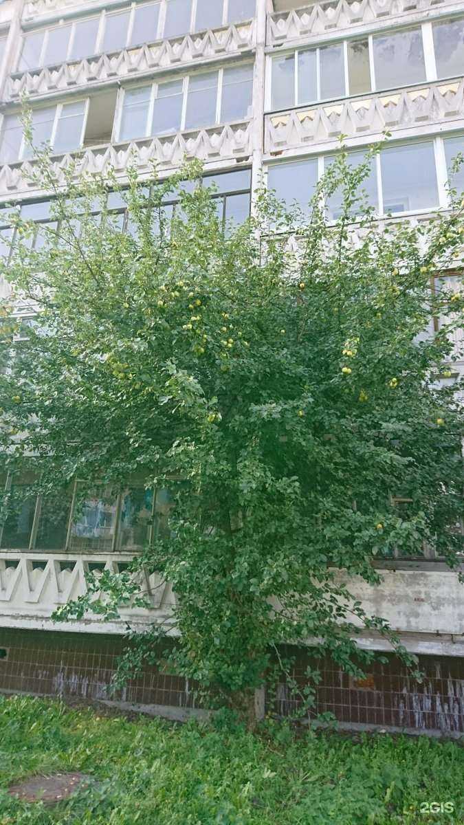 Отзывы на компанию Море красоты в Петрозаводске c фото - фотография 2 из 2