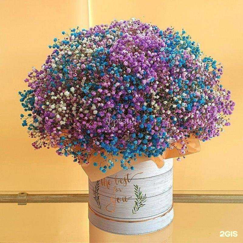 Отзывы на компанию Фрезия в Магнитогорске c фото