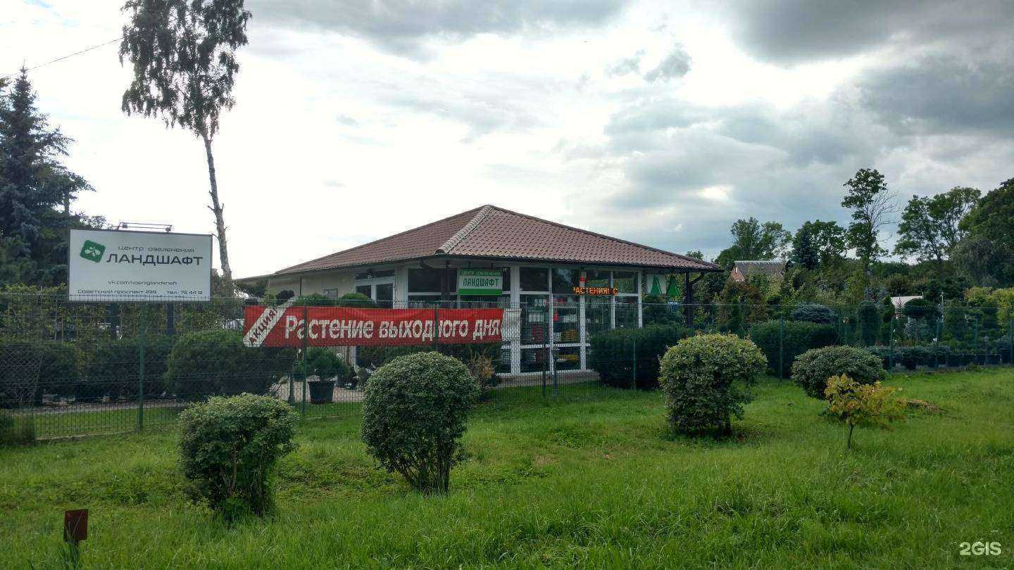 Отзывы на компанию Ландшафт в Калининграде c фото