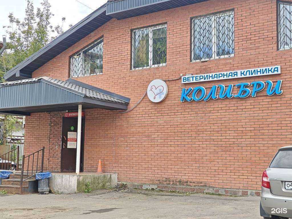 Отзывы на компанию Колибри в Долгопрудном c фото