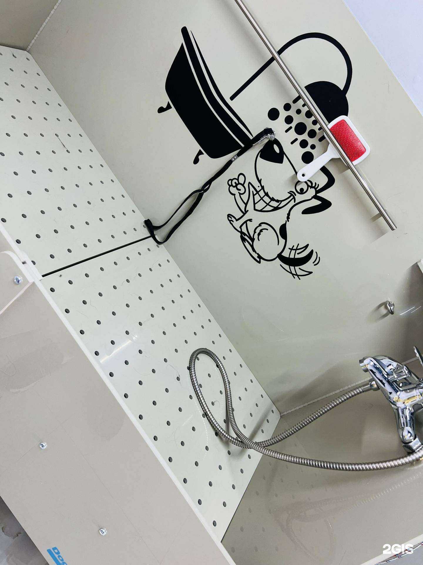 Отзывы на компанию Зоо. Груминг. Дом в г. Балашиха c фото