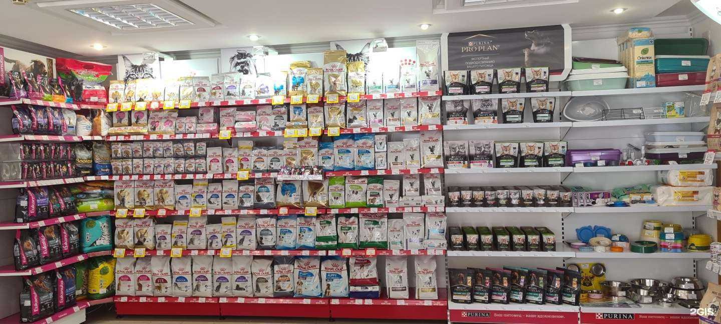 Отзывы на компанию Зоомир в Курске c фото