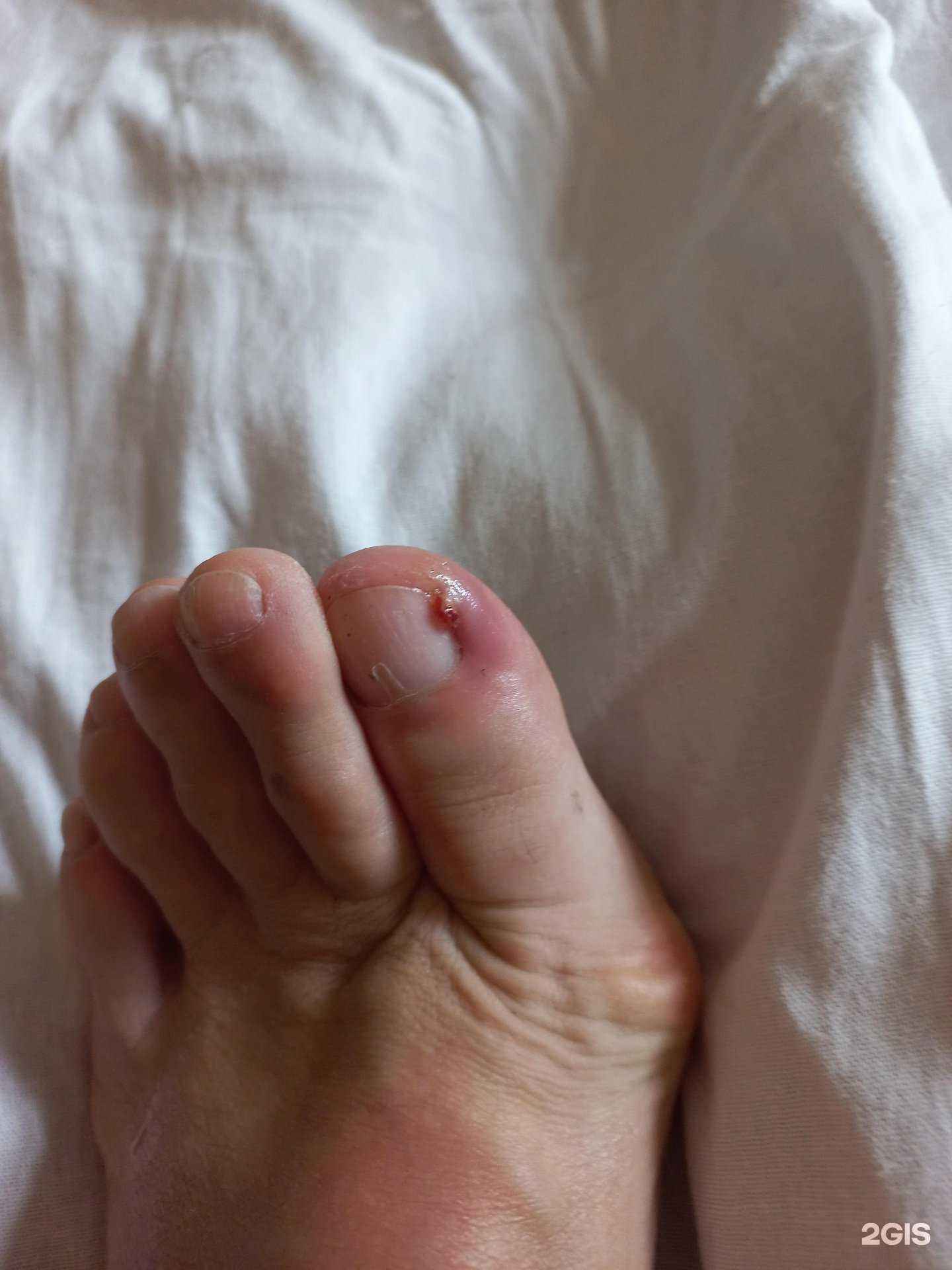 Отзывы на компанию Чародейка в Ессентуках c фото