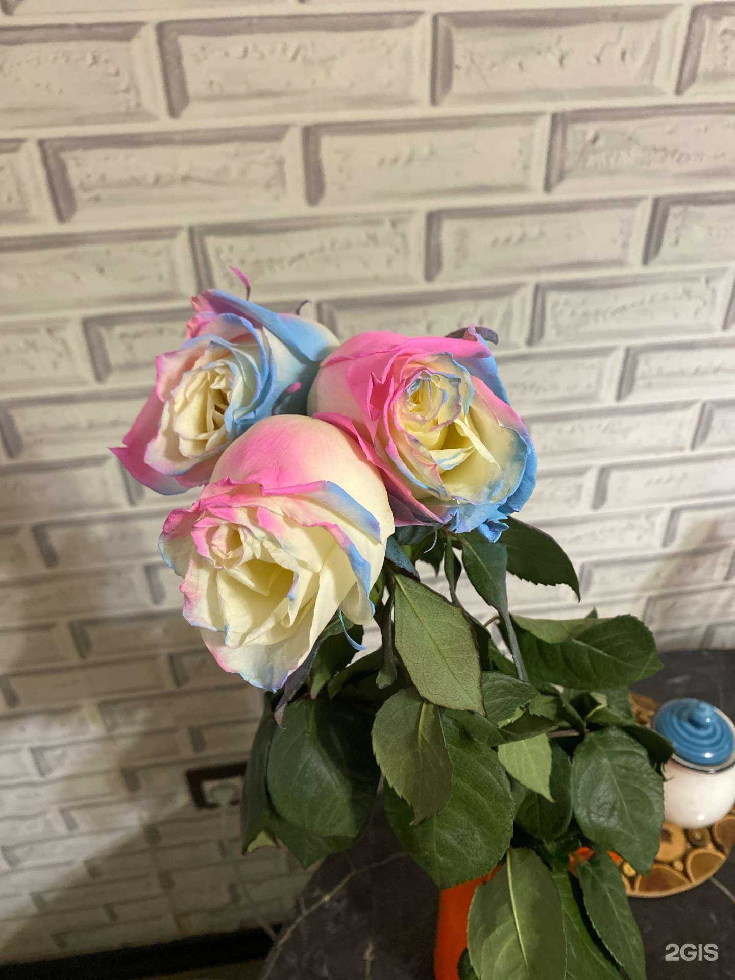 Отзывы на компанию Магазин цветов в г. Кемерово c фото