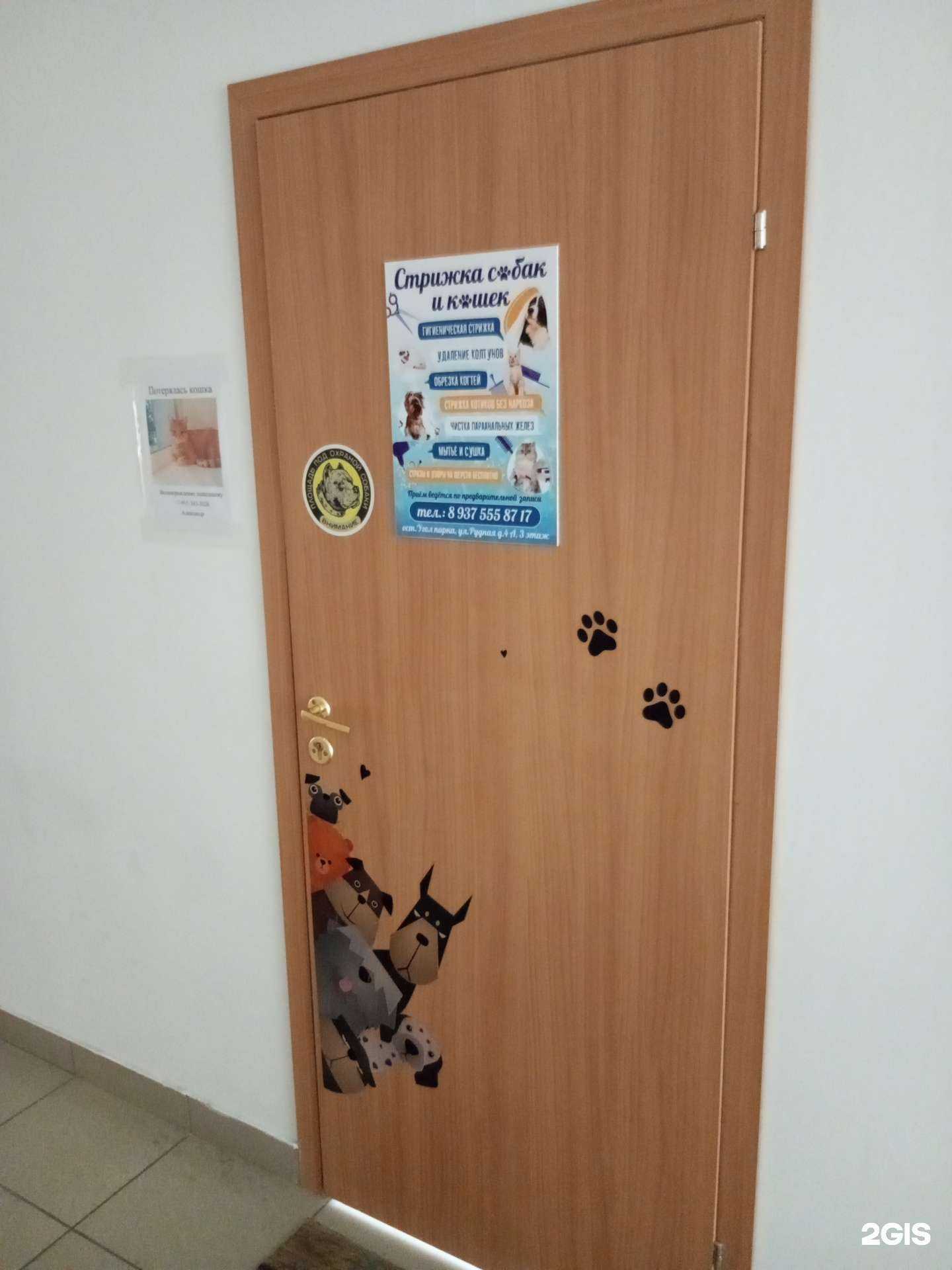 Отзывы на компанию Студия груминга в Волгограде c фото