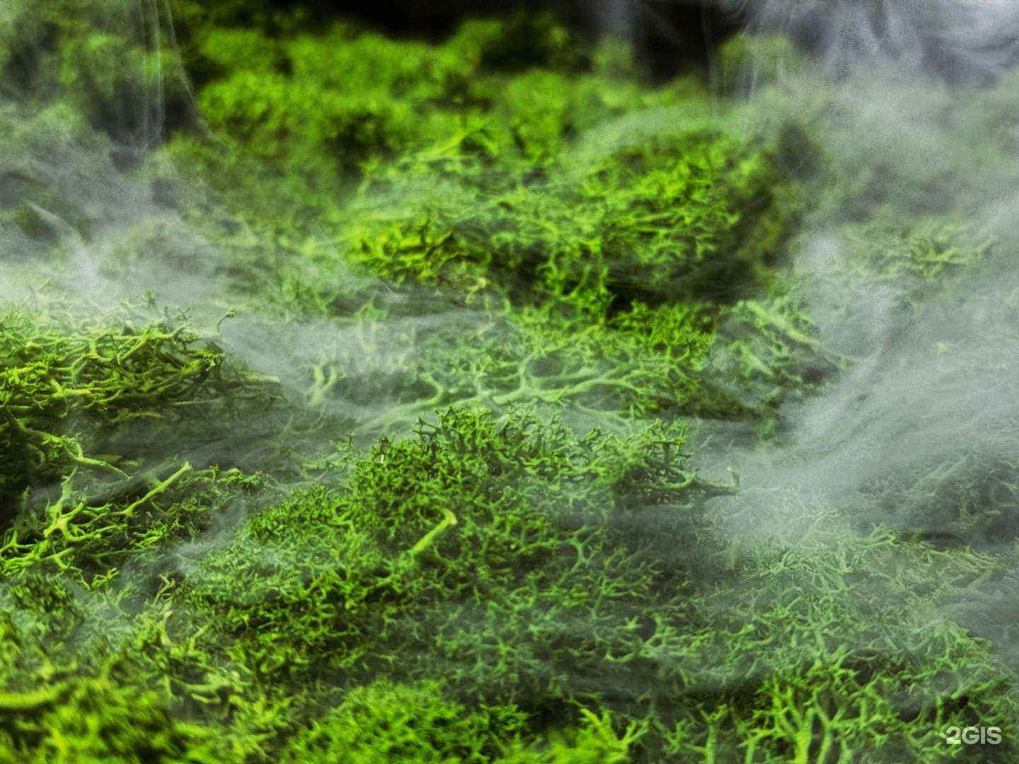 Отзывы на компанию Friendzona в Юрюзани c фото