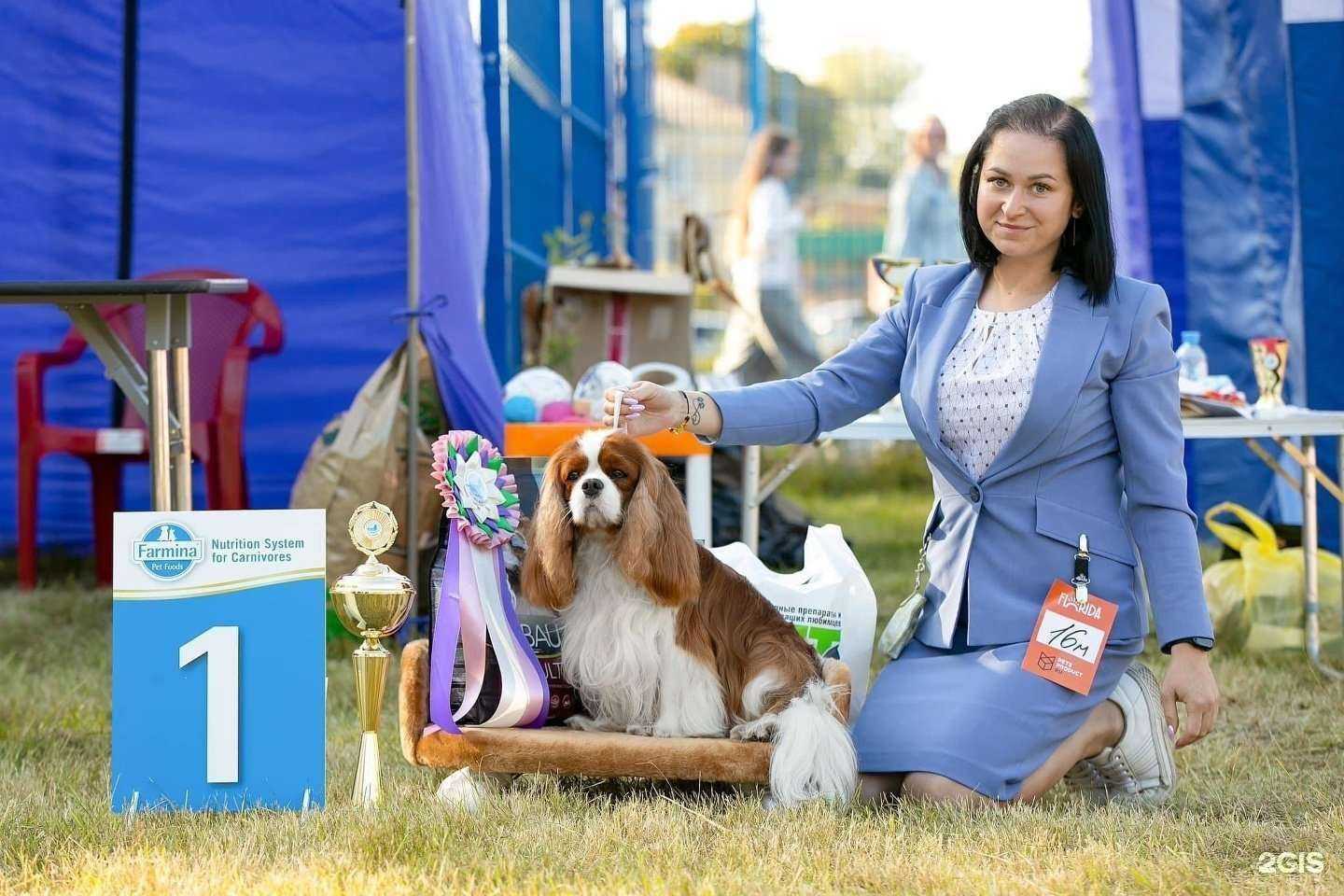 Отзывы на компанию Terra Dogs в Петрозаводске c фото