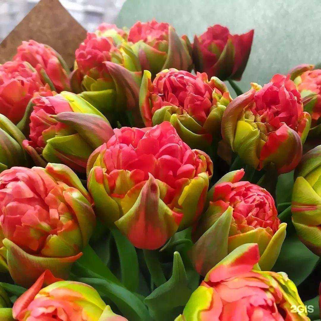 Отзывы на компанию Любовь это... в Волгограде c фото