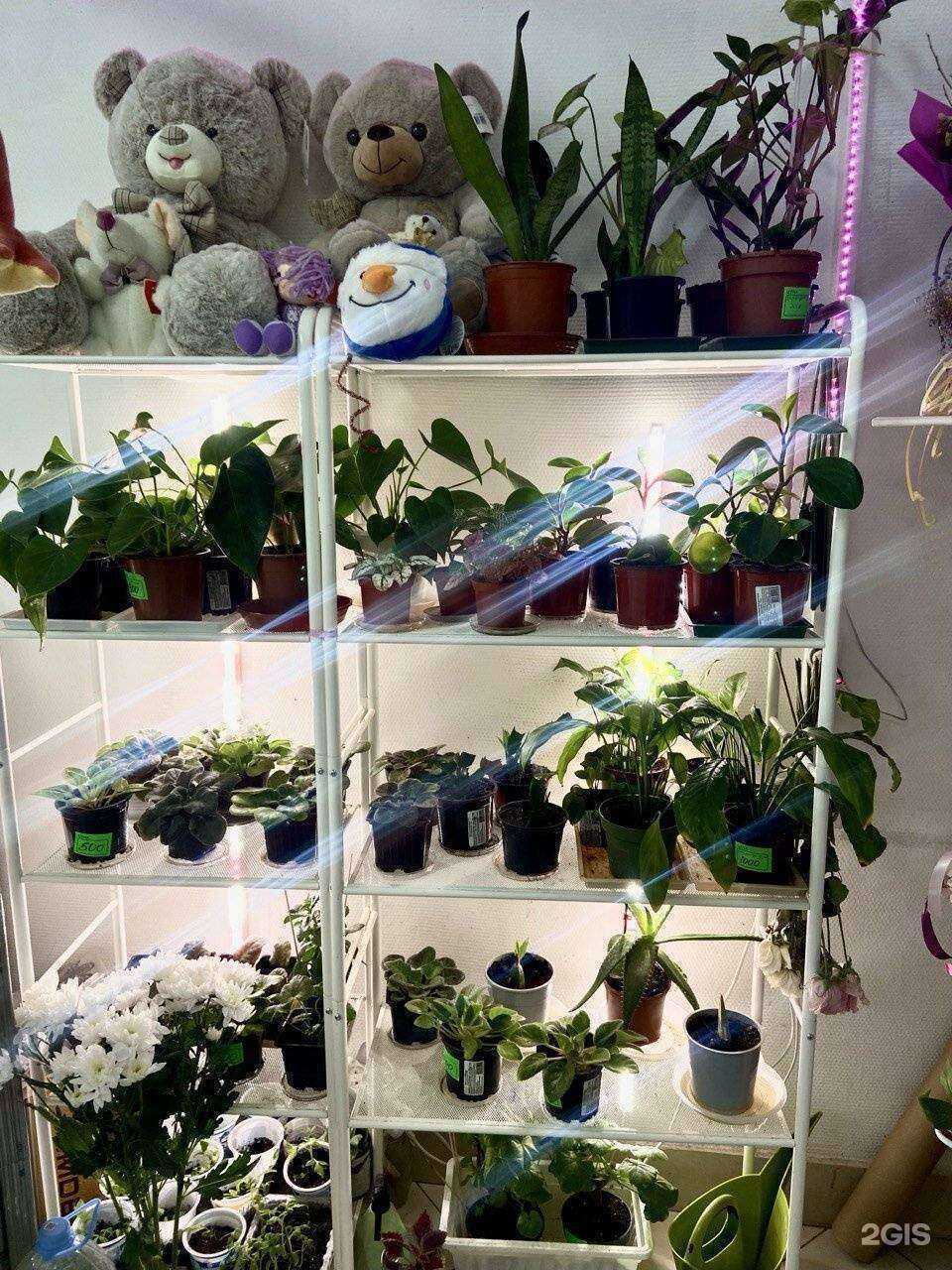 Отзывы на компанию Аленький в г. Рязань c фото