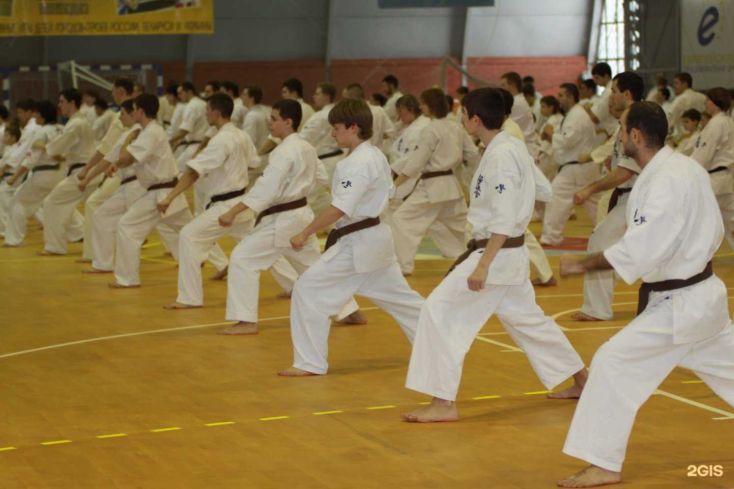 Отзывы на компанию Киокусинкай в Волжском c фото