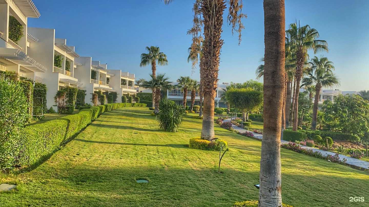 Отзывы на компанию Гив ми море в г. Хабаровск c фото