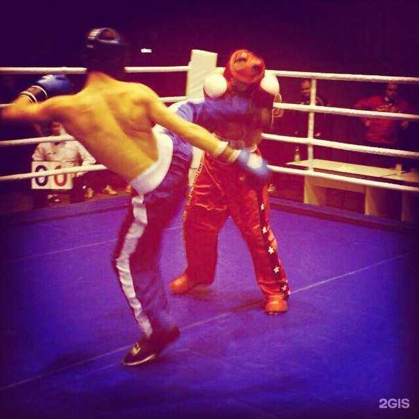 Отзывы на компанию Гладиатор в г. Котельники c фото