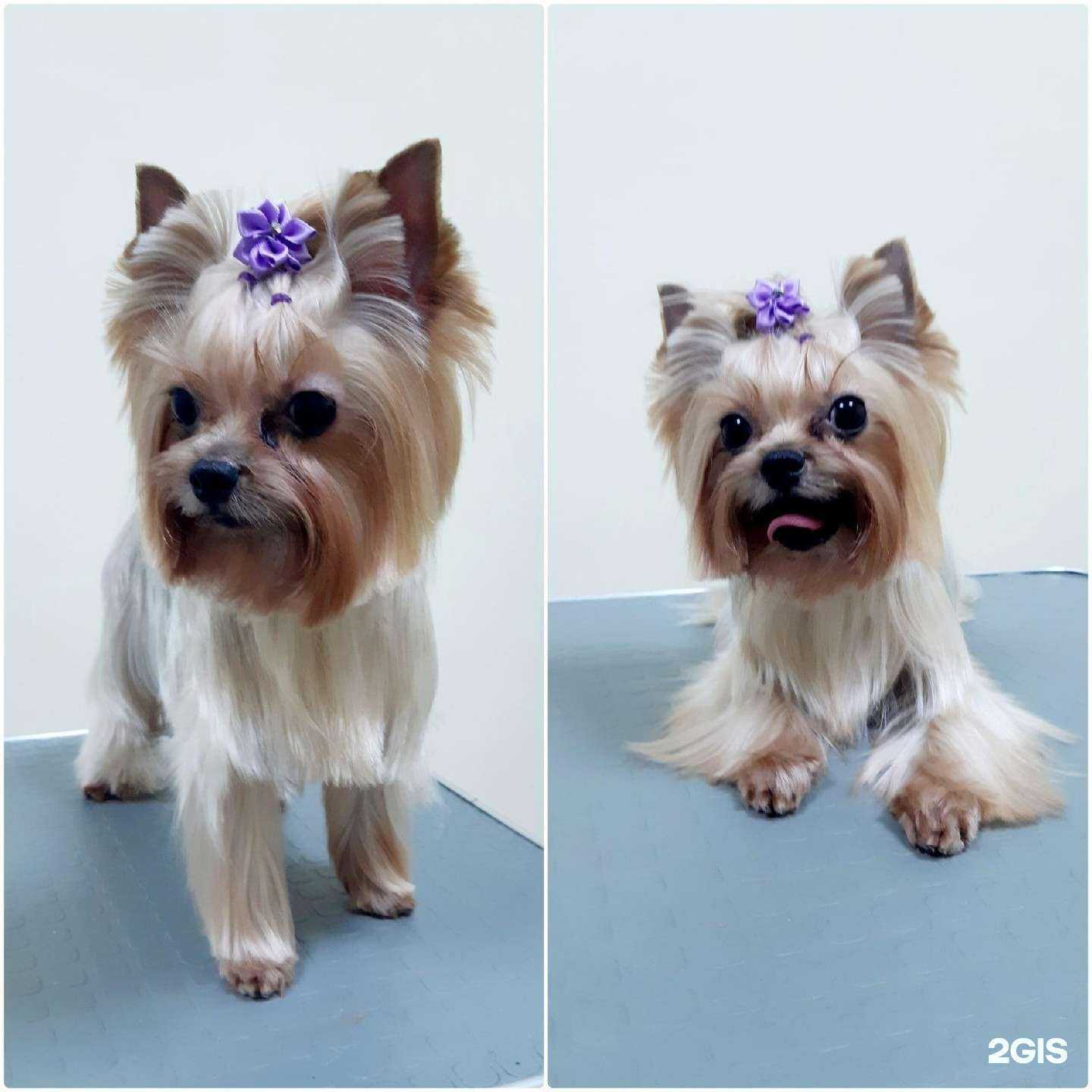 Отзывы на компанию Комильфо в Архангельске c фото