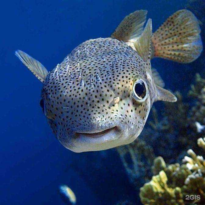 Отзывы на компанию Лесная братва в г. Нижний Тагил c фото