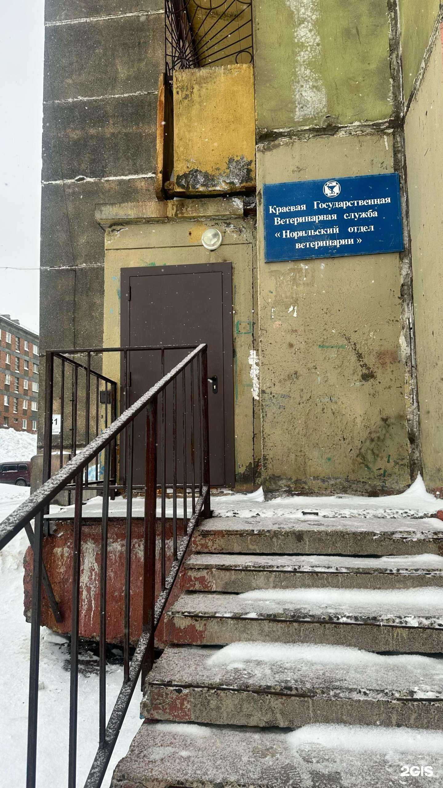 Отзывы на компанию Норильский отдел ветеринарии в Норильске c фото