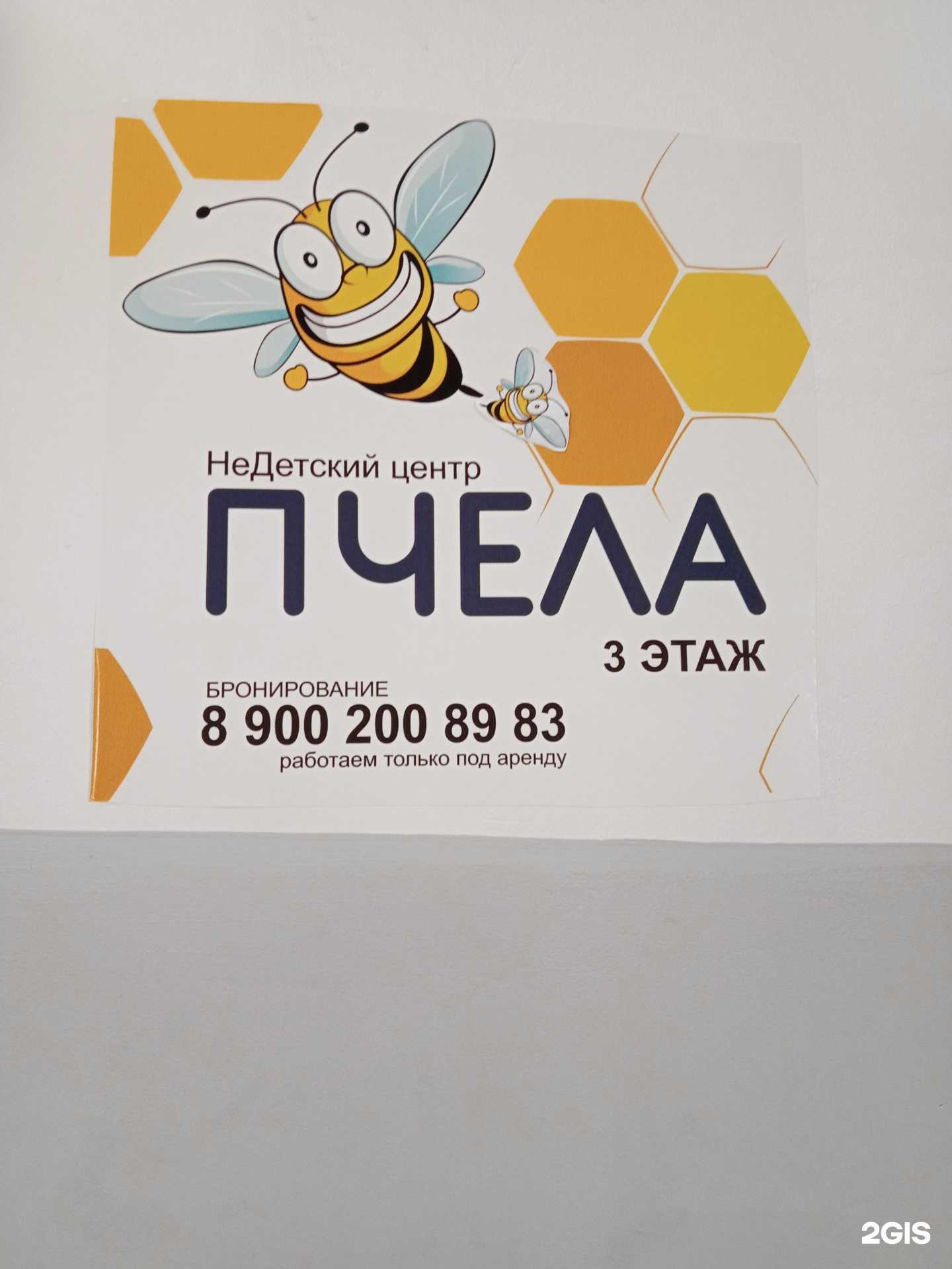 Отзывы на компанию Пчела в г. Каменск-Уральский c фото