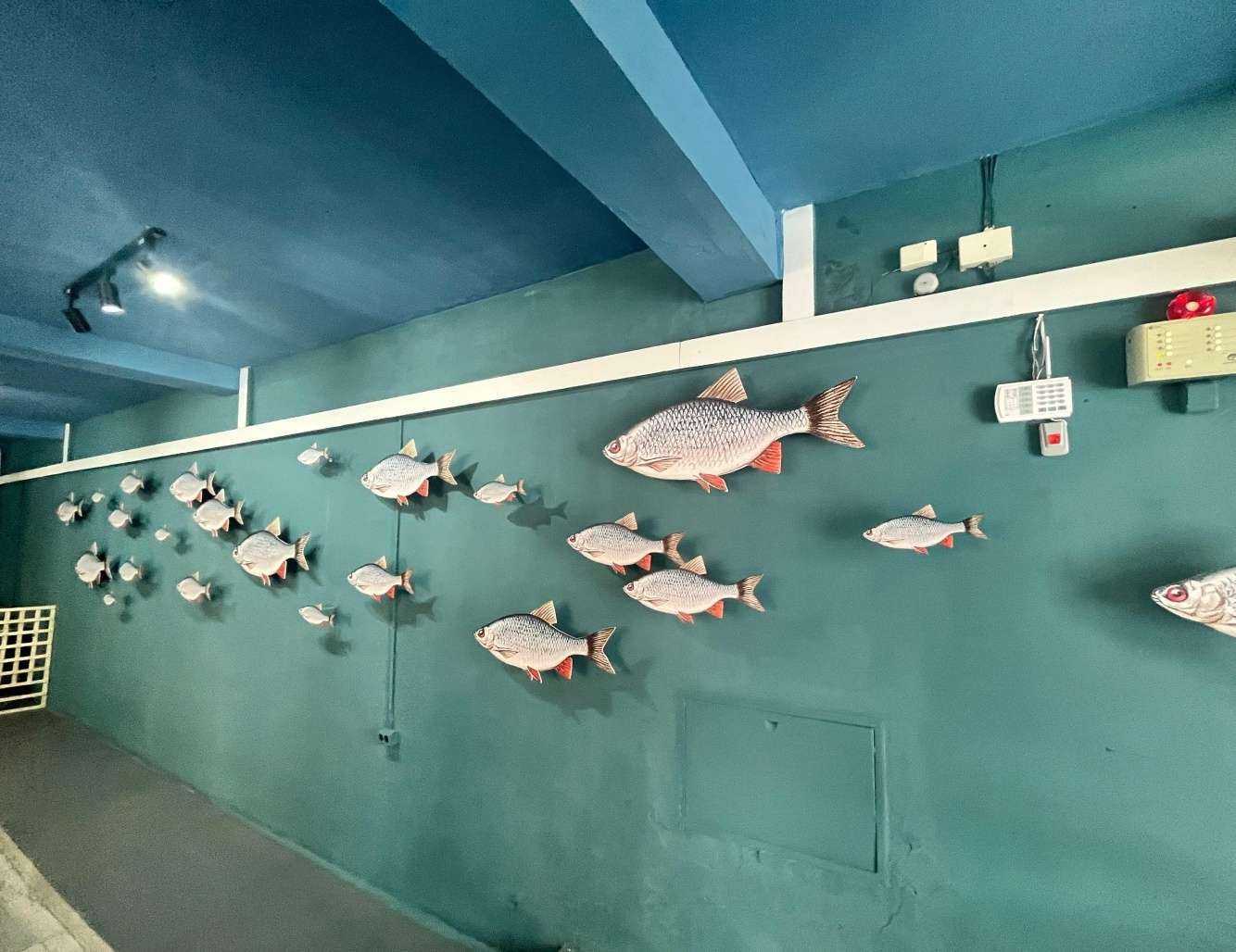 Отзывы на компанию Волна в Магнитогорске c фото