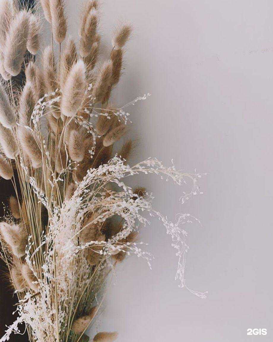 Отзывы на компанию Элос в Набережных Челнах c фото