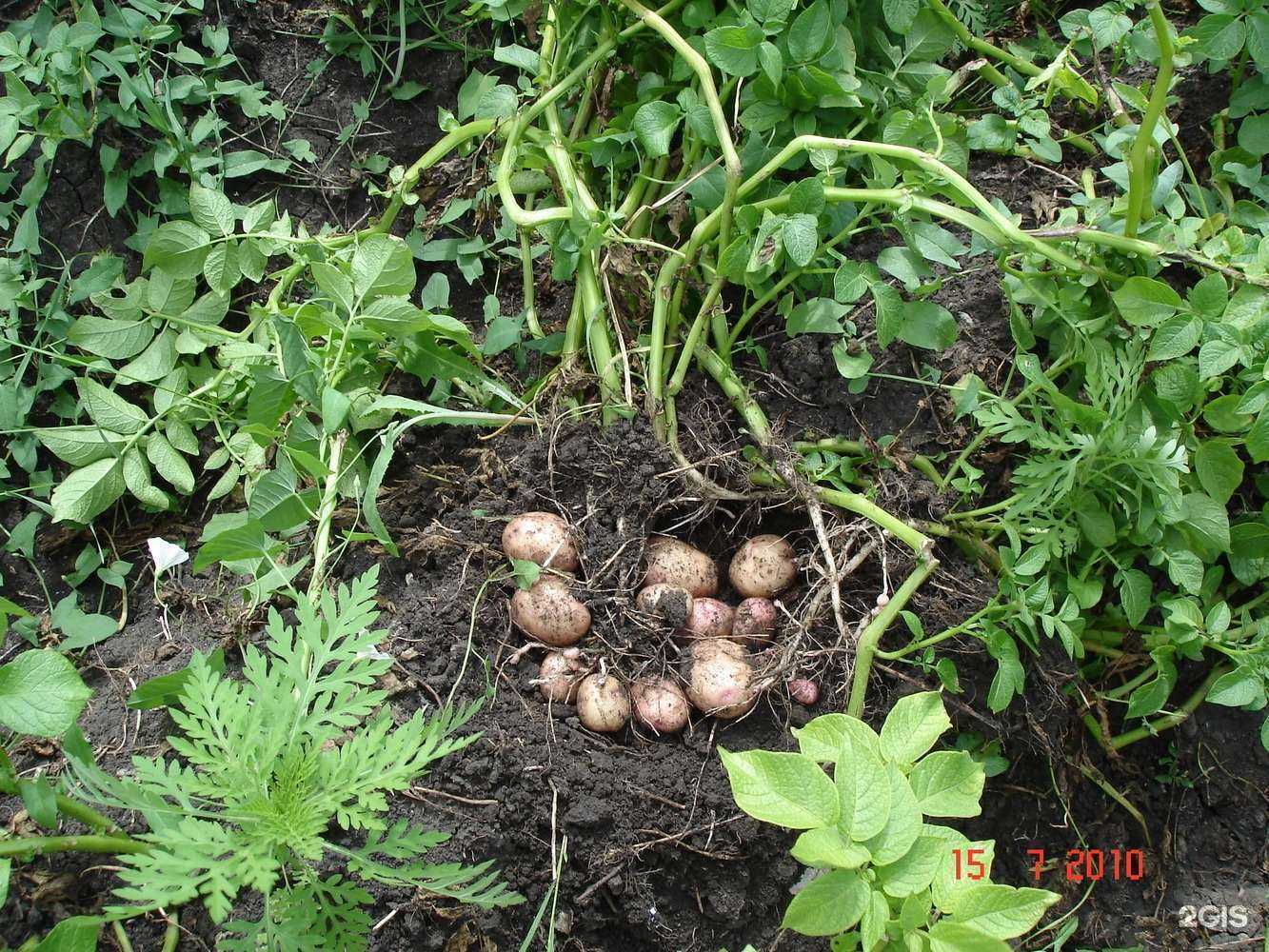 Отзывы на компанию Колнаг в г. Ставрополь c фото