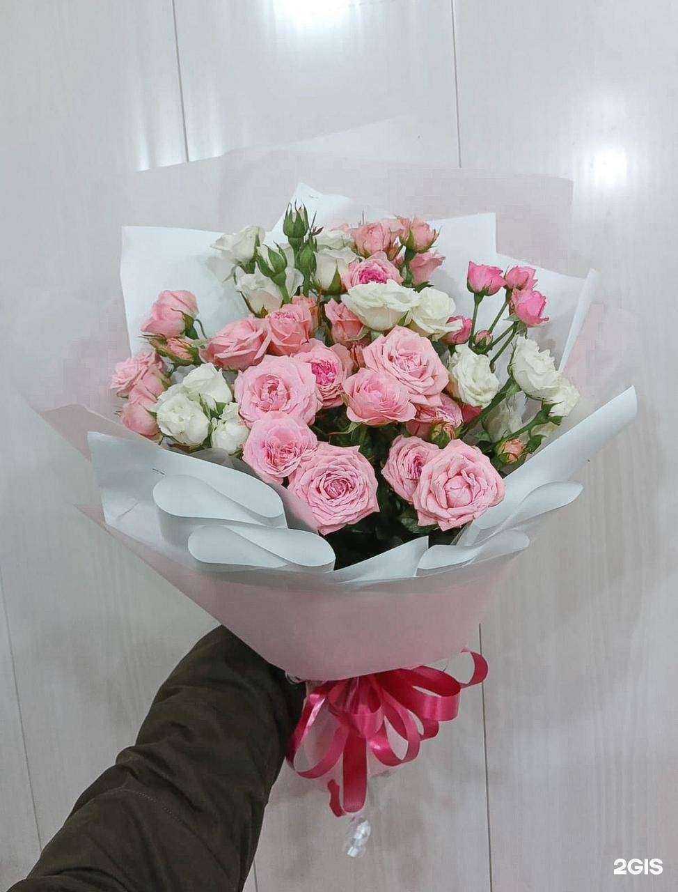 Отзывы на компанию Амалия в Красноярске c фото