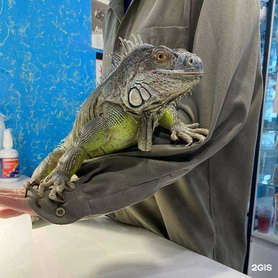 Отзывы на компанию Умка в г. Балаково c фото