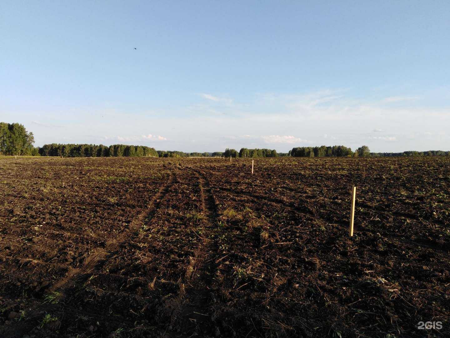 Отзывы на компанию Геодезис в г. Кемерово c фото