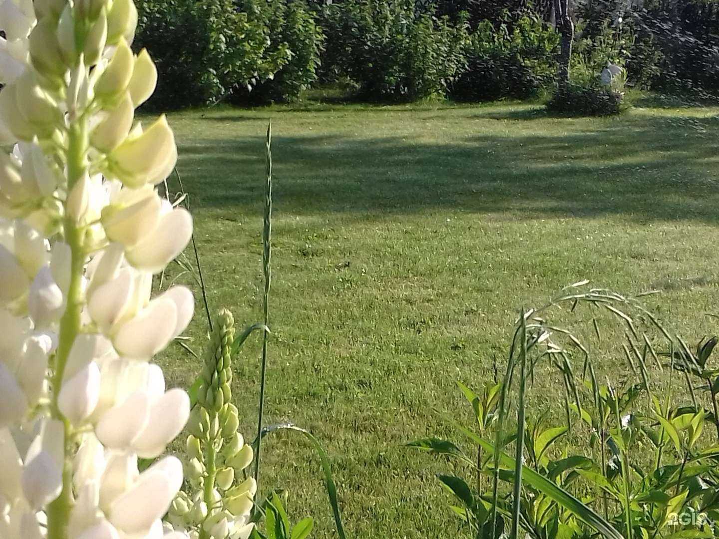 Отзывы на компанию Автополив Сибири в г. Новосибирск c фото