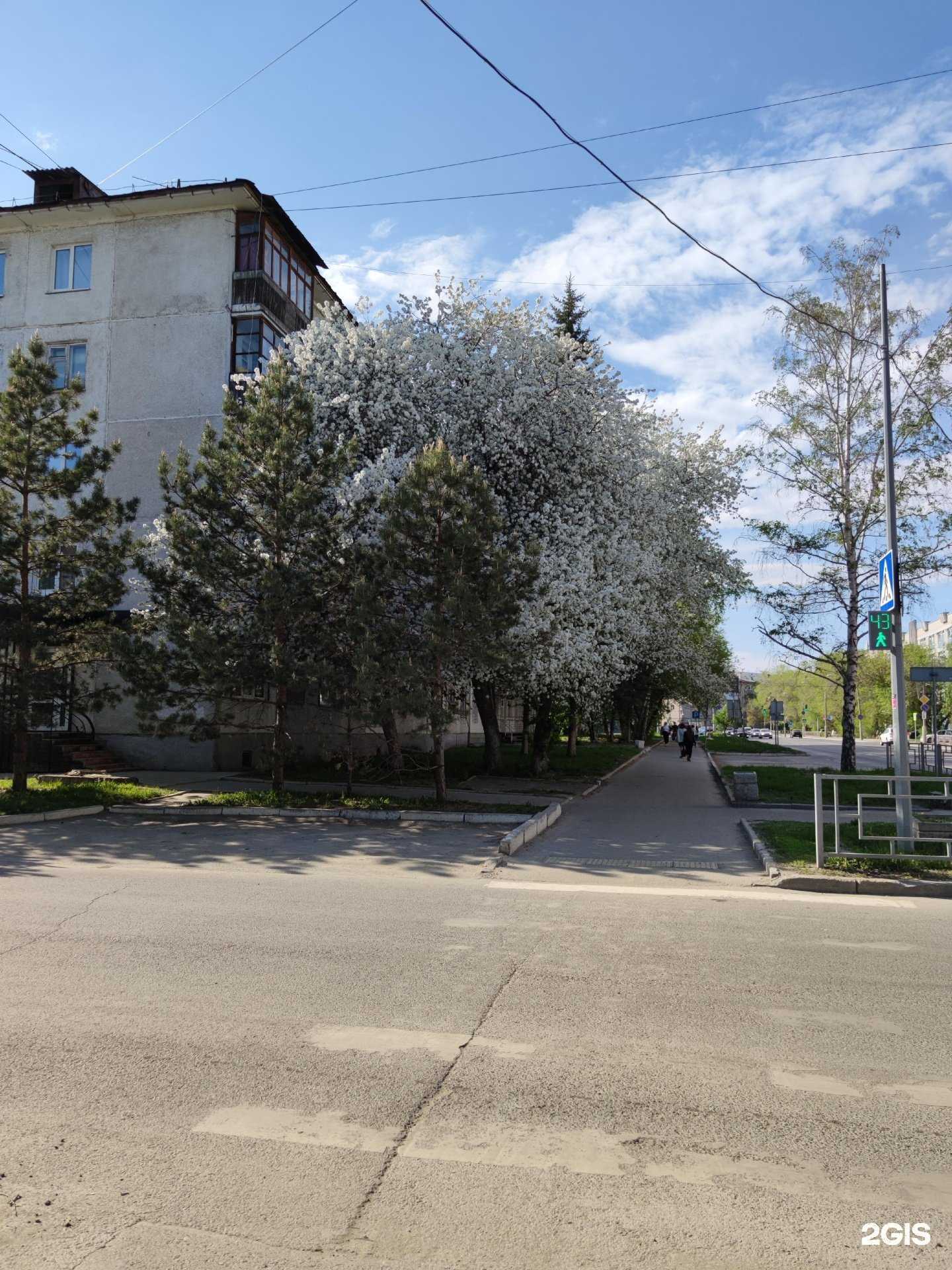 Отзывы на компанию Базилик в Барнауле c фото - фотография 2 из 2