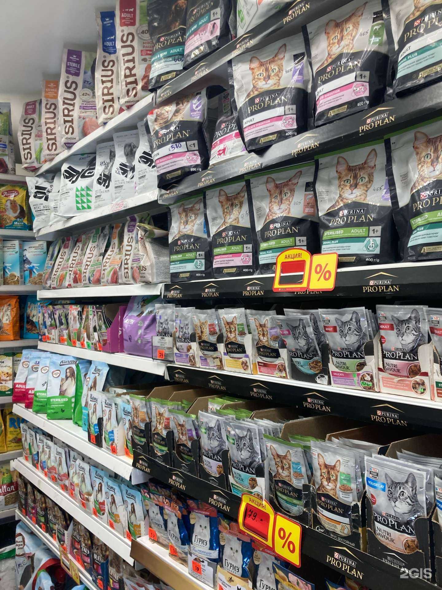 Отзывы на компанию Зоомагазин в г. Воронеж c фото