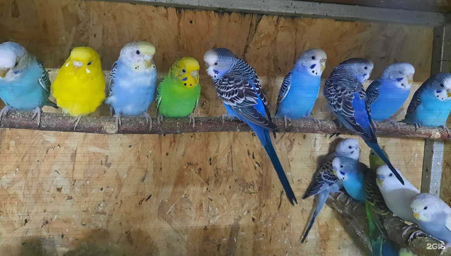 Отзывы на компанию Амазонка в Томске c фото