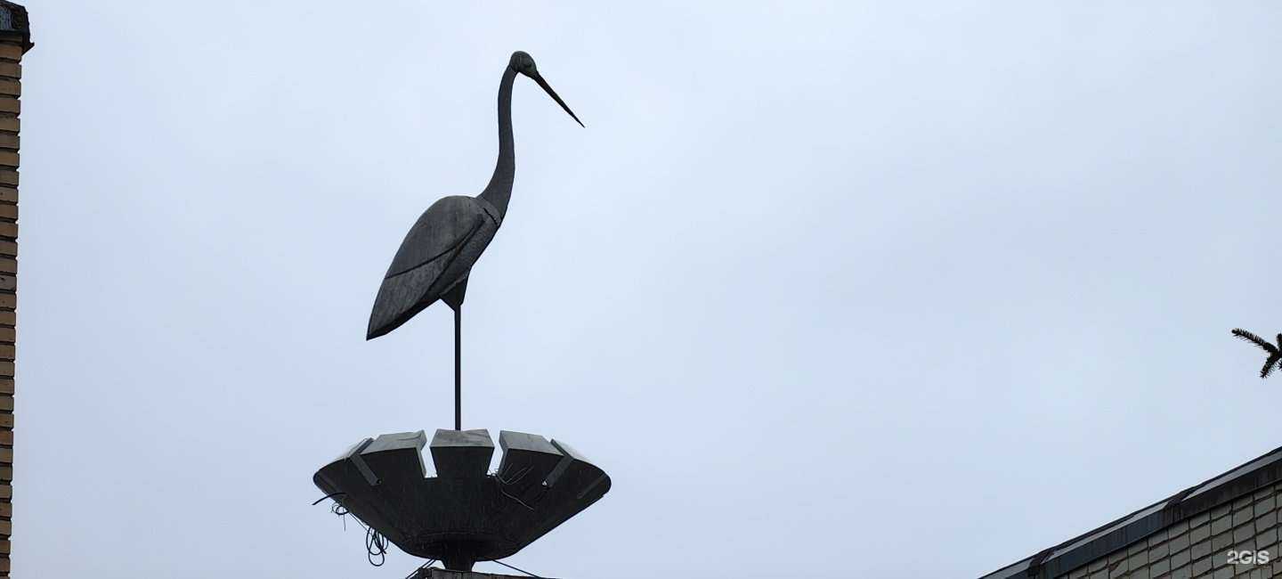 Отзывы на компанию Аист в Смоленске c фото