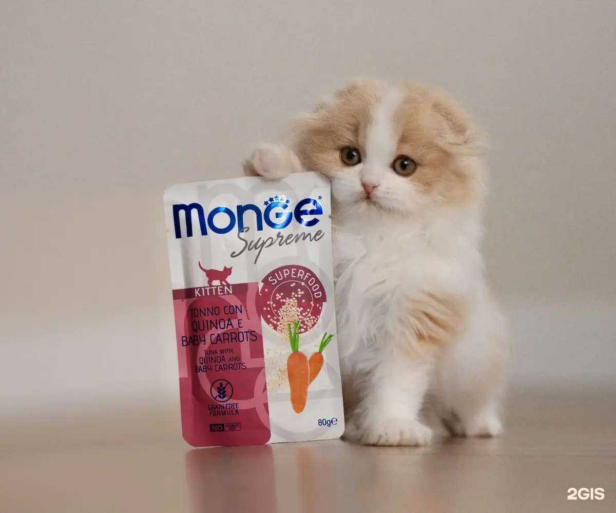 Отзывы на компанию Ветмаркет в Ставрополе c фото