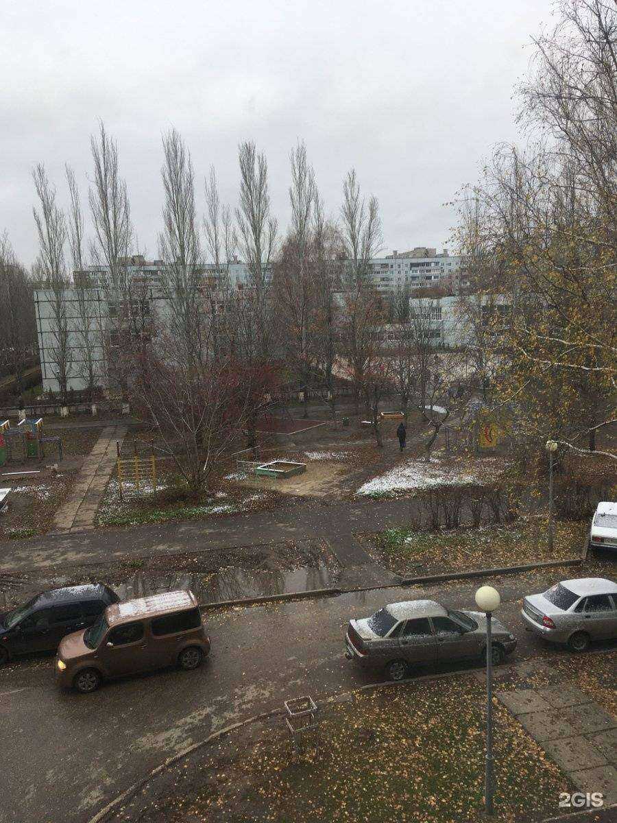 Отзывы на компанию Багира в Тольятти c фото - фотография 2 из 2