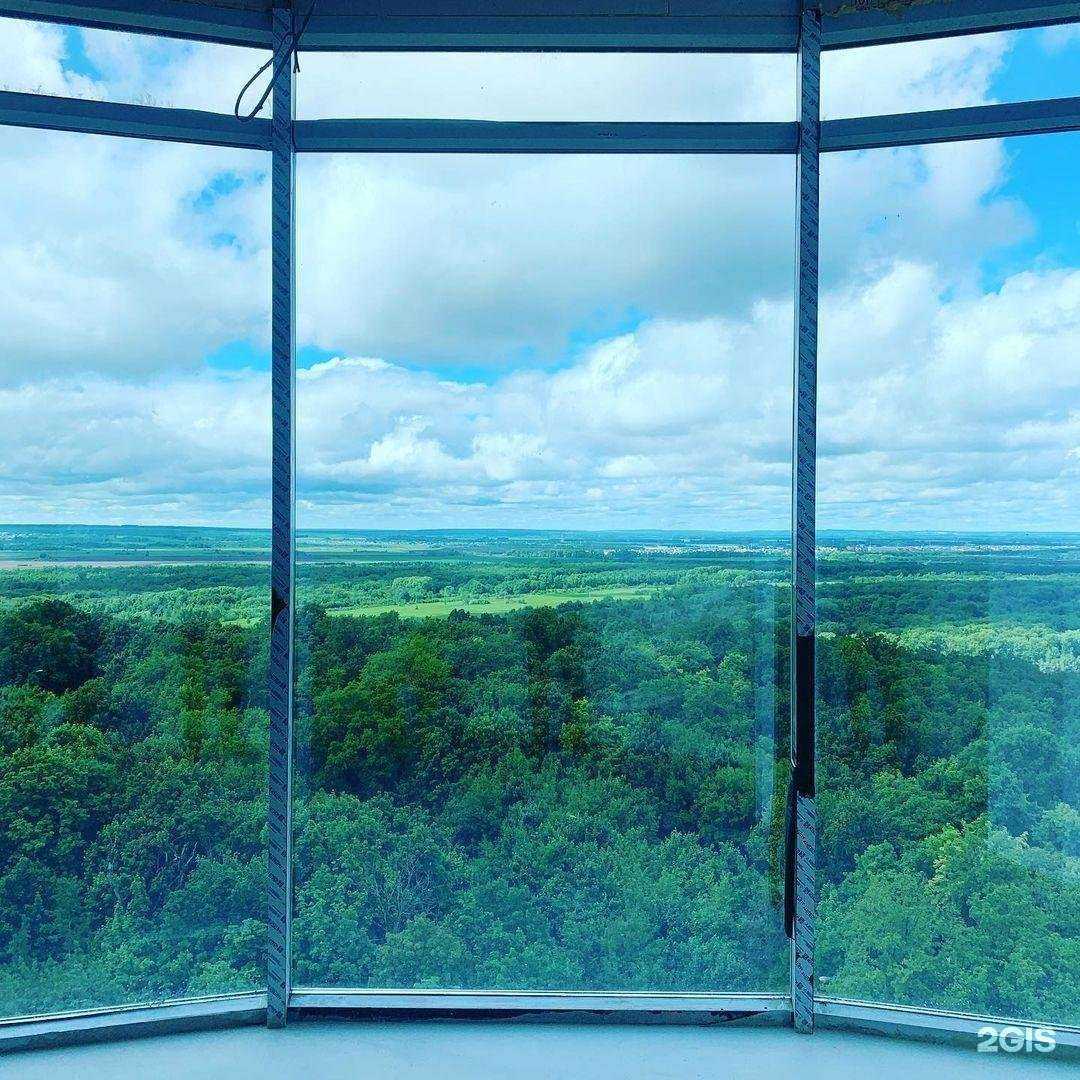 Отзывы на компанию М-Гласс в Уфе c фото