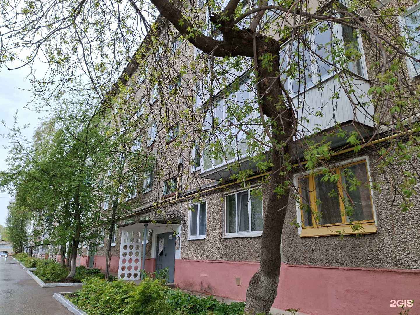 Отзывы на компанию Elos studio в Соликамске c фото - фотография 2 из 2