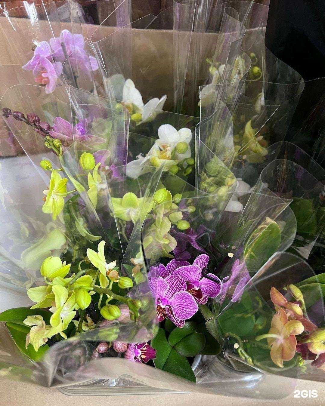 Отзывы на компанию Цветочный павильон в Сочи c фото