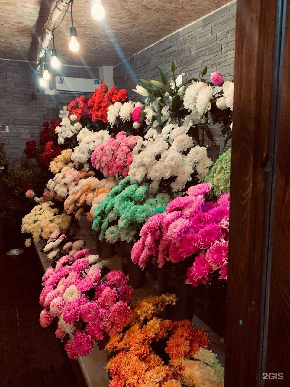 Отзывы на компанию Тюльпан в Прокопьевске c фото