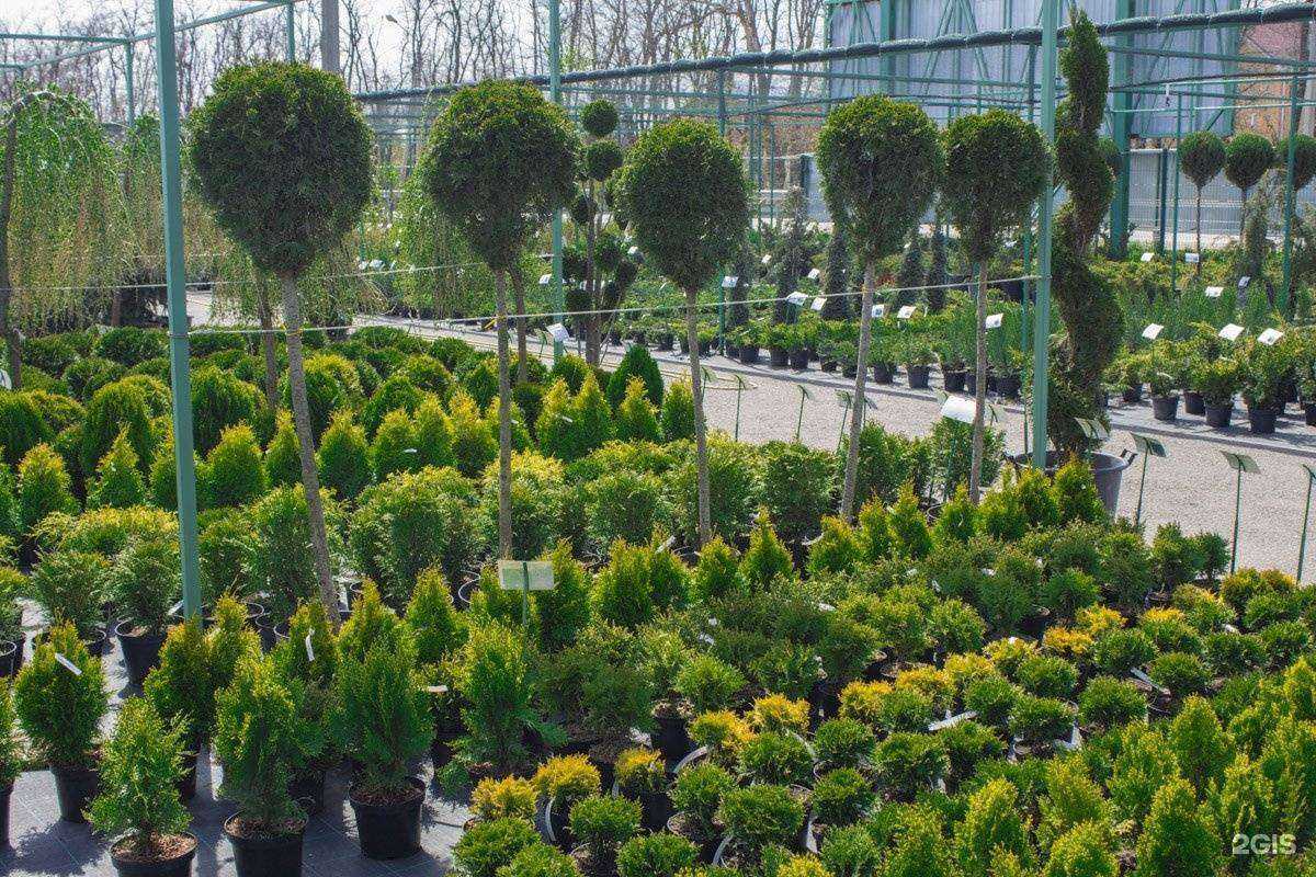 Отзывы на компанию Флора-Сервис в г. Аксай c фото