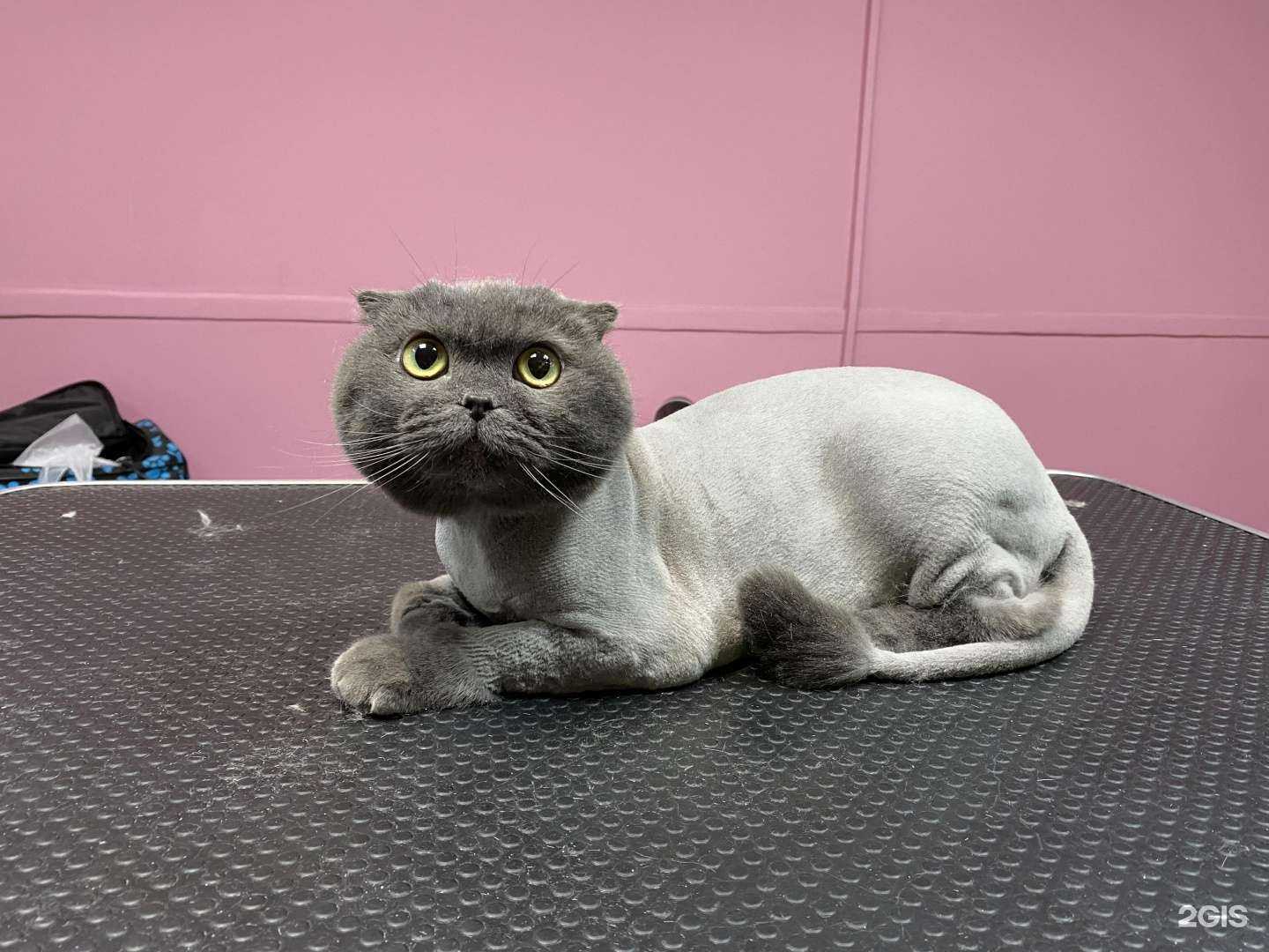 Отзывы на компанию Боня и Соня в г. Краснодар c фото