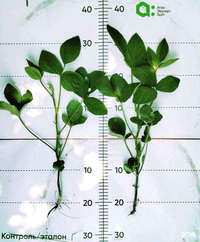 Отзывы на компанию Агро Эксперт Груп в Туле c фото