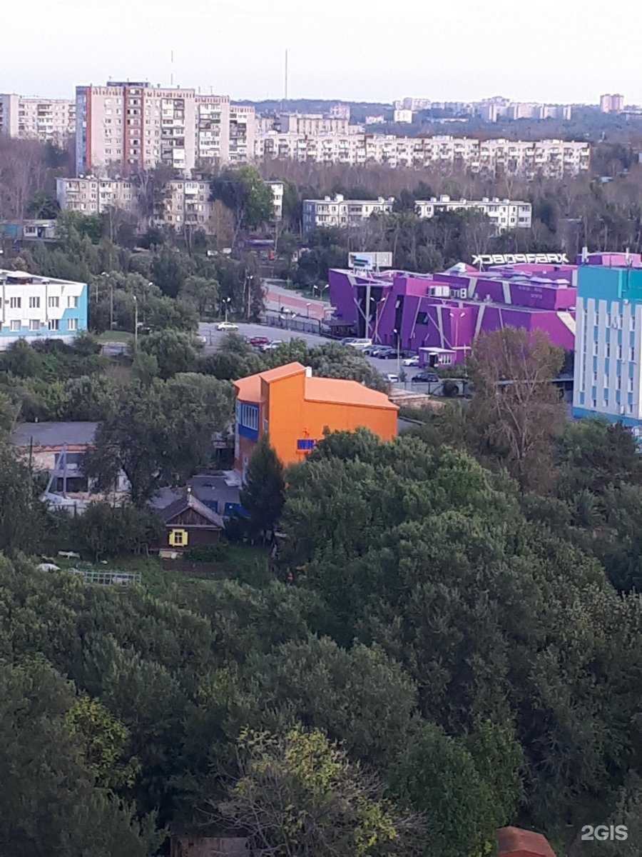 Отзывы на компанию Спортивная секция киокусинкай каратэ в Хабаровске c фото - фотография 2 из 2