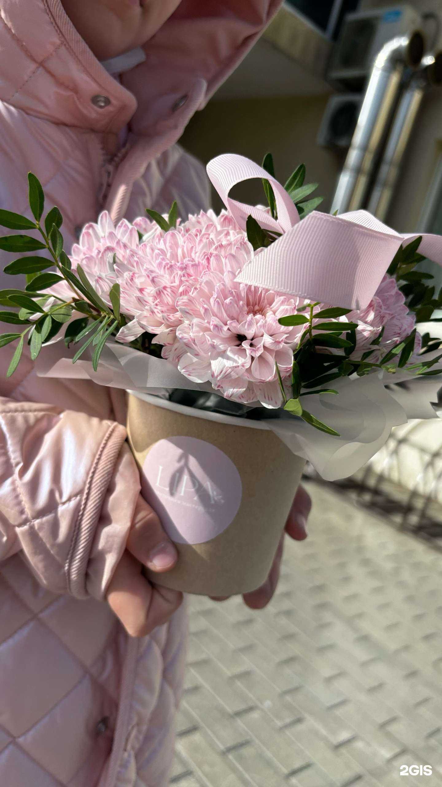 Отзывы на компанию Lipa в Екатеринбурге c фото