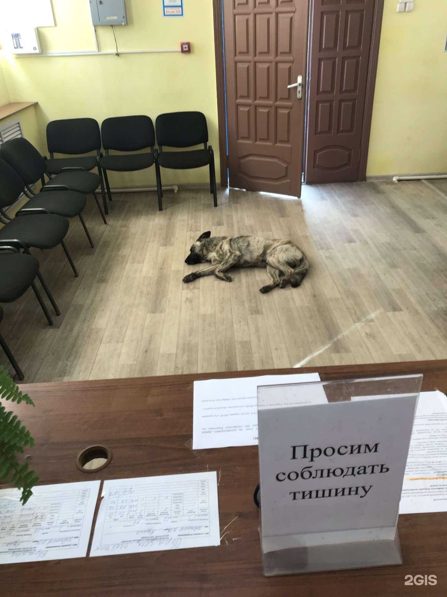 Отзывы на компанию Астрводоканал в г. Астрахань c фото